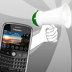 Иллюстрация: Мария Шумилова