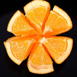 Иллюстрация: Мария Шумилова