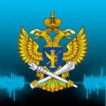 Без разделительных полос