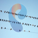 Без лишних проводов 