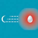 Узбекские каникулы МТС