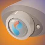 Выборы под присмотром