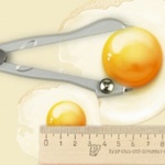 Социальная любовь 