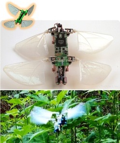 Иллюстрация: indiegogo.com