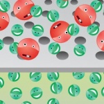 Черно-белые списки