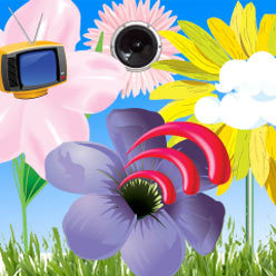 Иллюстрация: Антон Носков