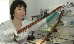 Фото: ИТАР-ТАСС