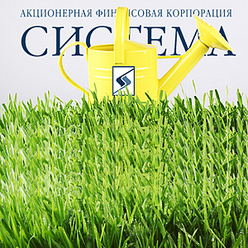 Иллюстрация: Мария Шумилова