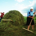 У "Яндекса" выдался урожайный квартал