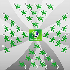 Иллюстрация: Мария Шумилова