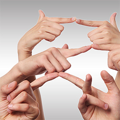 Иллюстрация: Мария Шумилова