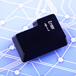 Иллюстрация: Мария Шумилова