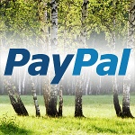 PayPal попал в Россию