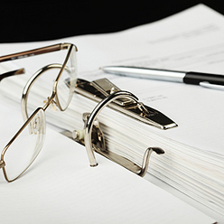 Иллюстрация: Мария Шумилова