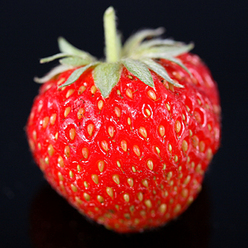 Иллюстрация: Мария Шумилова