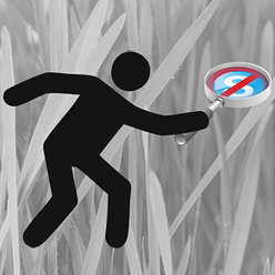 Иллюстрация: Мария Шумилова