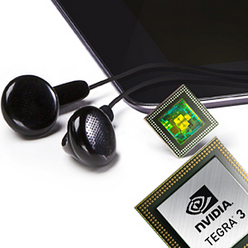 Иллюстрация: Мария Шумилова