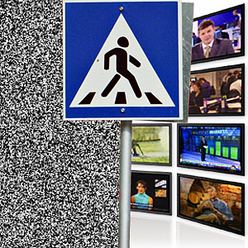 Иллюстрация: Мария Шумилова